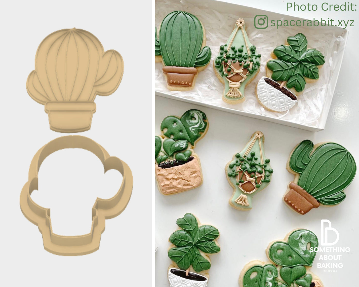 Cactus Cookie Cutter and Stamp