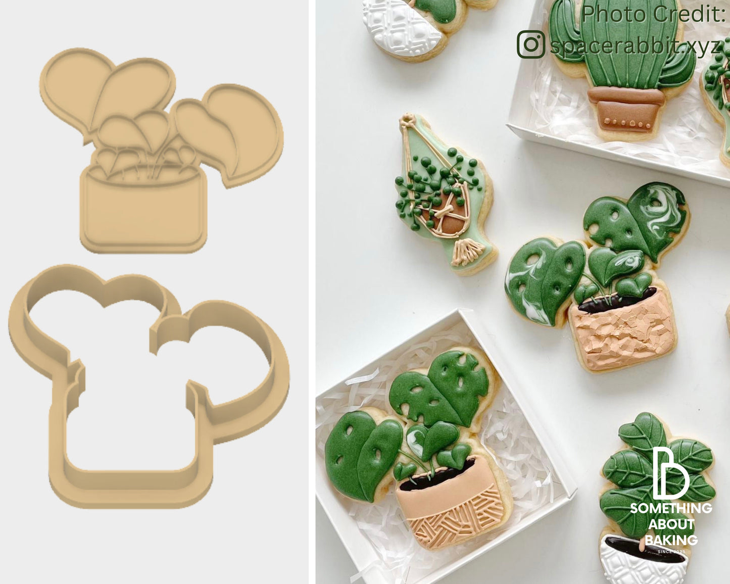 Monstera Cookie Cutter and Debosser